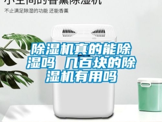 行業新聞除濕機真的能除濕嗎 幾百塊的除濕機有用嗎