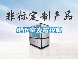 企業新聞地下室發霉控制