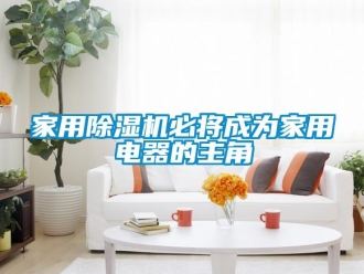 行業新聞家用除濕機必將成為家用電器的主角