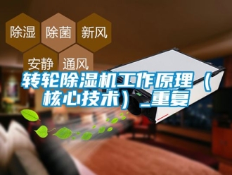 常見問題轉輪除濕機工作原理（核心技術）_重復