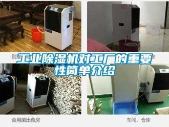 企業新聞工業除濕機對工廠的重要性簡單介紹