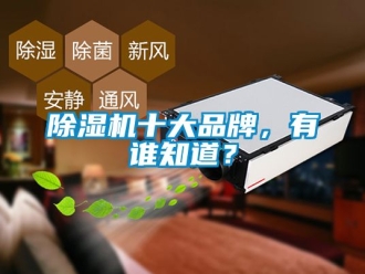 企業新聞除濕機十大品牌，有誰知道？
