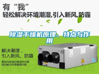 企業(yè)新聞除濕干燥機(jī)原理、特點(diǎn)與作用