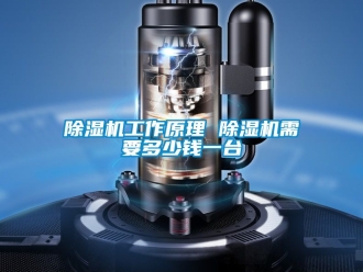 行業新聞除濕機工作原理 除濕機需要多少錢一臺