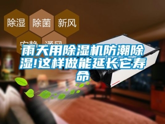 行業新聞雨天用除濕機防潮除濕!這樣做能延長它壽命