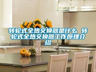 常見問題轉輪式全熱交換器是什么 轉輪式全熱交換器工作原理介紹