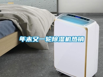 行業新聞年末又一輪除濕機熱銷