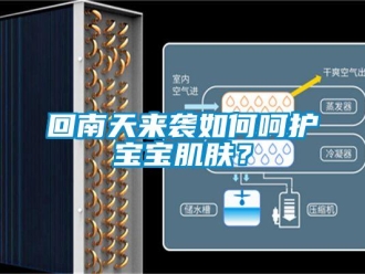 常見問題回南天來襲如何呵護寶寶肌膚？