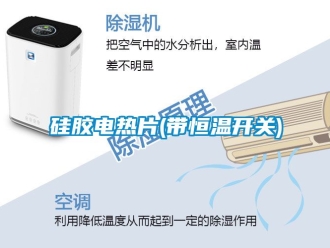 知識百科硅膠電熱片(帶恒溫開關)