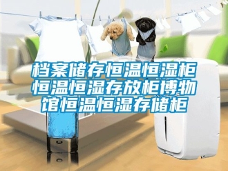 知識百科檔案儲存恒溫恒濕柜恒溫恒濕存放柜博物館恒溫恒濕存儲柜