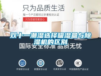 知識百科雙十一潮濕選擇吸濕盒與除濕機(jī)的區(qū)別