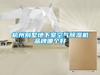 企業新聞杭州別墅地下室空氣除濕機品牌哪個好