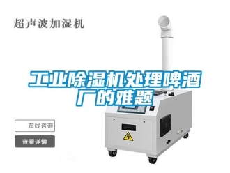 企業(yè)新聞工業(yè)除濕機處理啤酒廠的難題