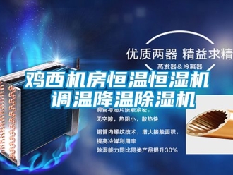 知識百科雞西機房恒溫恒濕機 調溫降溫除濕機