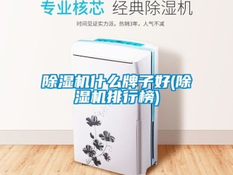 行業(yè)新聞除濕機什么牌子好(除濕機排行榜)