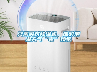 知識百科只需買對除濕機，應對潮濕天氣“霉”煩惱