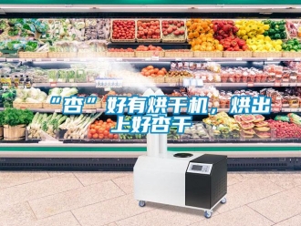 常見問題“杏”好有烘干機，烘出上好杏干