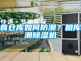 企業新聞糧食倉庫如何防潮？糧庫防潮除濕機