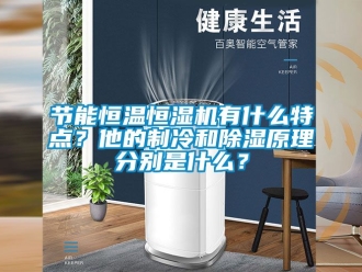 知識百科節能恒溫恒濕機有什么特點？他的制冷和除濕原理分別是什么？