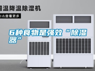 常見問題6種食物是強效“除濕器”