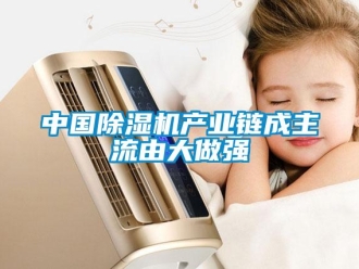 知識百科中國除濕機產(chǎn)業(yè)鏈成主流由大做強