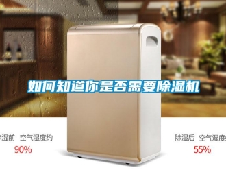 常見問題如何知道你是否需要除濕機