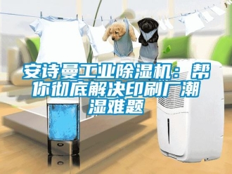 企業新聞安詩曼工業除濕機：幫你徹底解決印刷廠潮濕難題