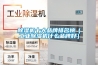 除濕機排行榜（家用除濕機排行榜）