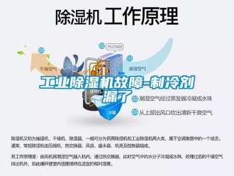 企業新聞工業除濕機故障-制冷劑漏了