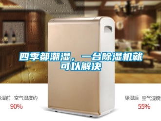 知識百科四季都潮濕，一臺除濕機就可以解決