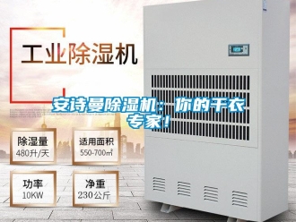 企業新聞安詩曼除濕機：你的干衣專家！