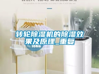 常見問題轉輪除濕機的除濕效果及原理_重復