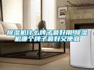 行業新聞除濕機什么牌子最好用,除濕機哪個牌子最好又便宜