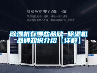 企業新聞除濕機有哪些品牌 除濕機品牌知識介紹【詳解】