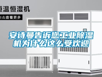 企業(yè)新聞安詩曼告訴您工業(yè)除濕機為什么這么受歡迎