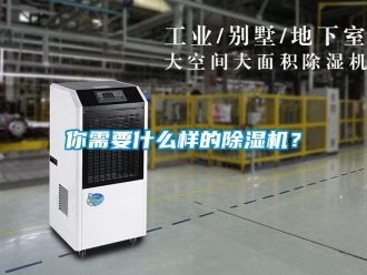 行業新聞你需要什么樣的除濕機？