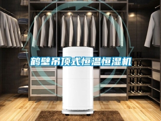 知識百科鶴壁吊頂式恒溫恒濕機