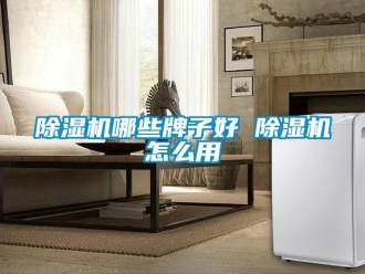 行業新聞除濕機哪些牌子好 除濕機怎么用
