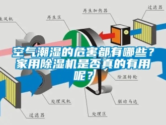 常見問題空氣潮濕的危害都有哪些？家用除濕機(jī)是否真的有用呢？