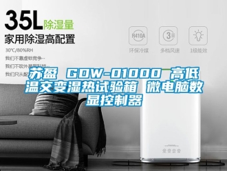 常見問題蘇盈 GDW-01000 高低溫交變濕熱試驗(yàn)箱 微電腦數(shù)顯控制器