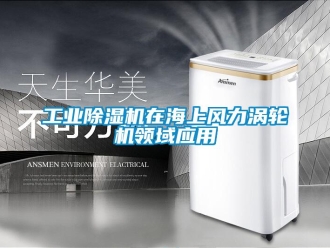 企業(yè)新聞工業(yè)除濕機(jī)在海上風(fēng)力渦輪機(jī)領(lǐng)域應(yīng)用