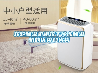 常見問題轉輪除濕機相較于冷凍除濕機的優勢和劣勢