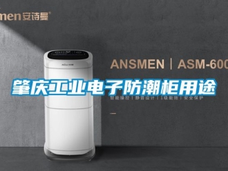 常見問題肇慶工業電子防潮柜用途