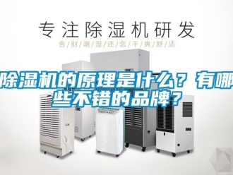 企業(yè)新聞除濕機(jī)的原理是什么？有哪些不錯(cuò)的品牌？