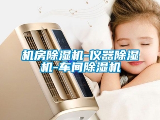 企業新聞機房除濕機-儀器除濕機-車間除濕機