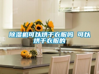 行業新聞除濕機可以烘干衣服嗎 可以烘干衣服的