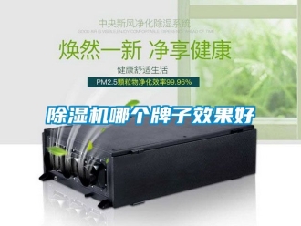 行業新聞除濕機哪個牌子效果好