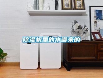 行業新聞除濕機里的水哪來的