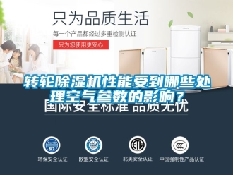 常見問題轉輪除濕機性能受到哪些處理空氣參數的影響？