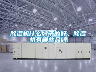 企業(yè)新聞除濕機什么牌子的好，除濕機有哪些品牌